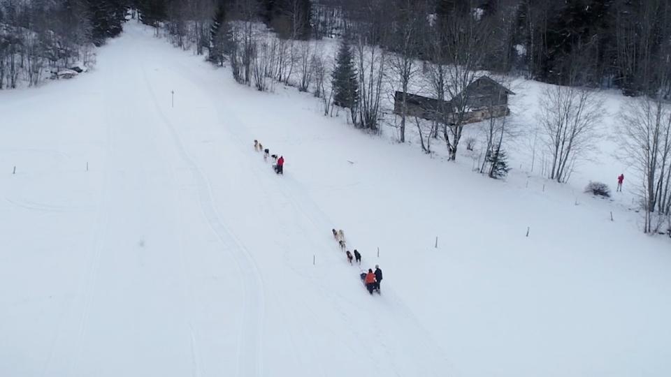 Chiens de traîneau (Les Contamines) Montage vidéo de votre visite